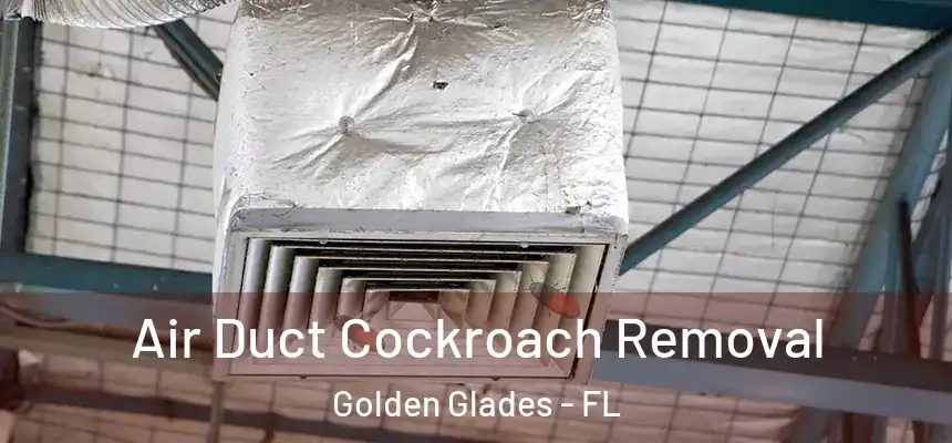 Air Duct Cockroach Removal Golden Glades - FL