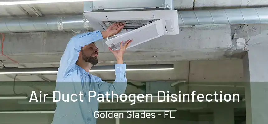 Air Duct Pathogen Disinfection Golden Glades - FL