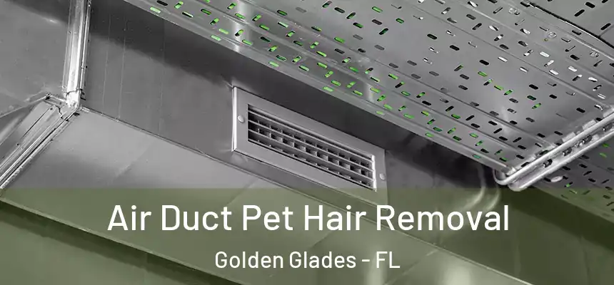 Air Duct Pet Hair Removal Golden Glades - FL