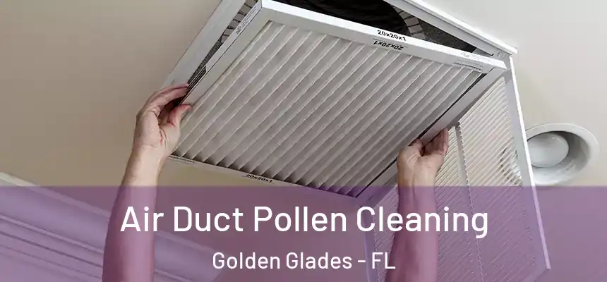 Air Duct Pollen Cleaning Golden Glades - FL