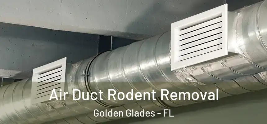 Air Duct Rodent Removal Golden Glades - FL