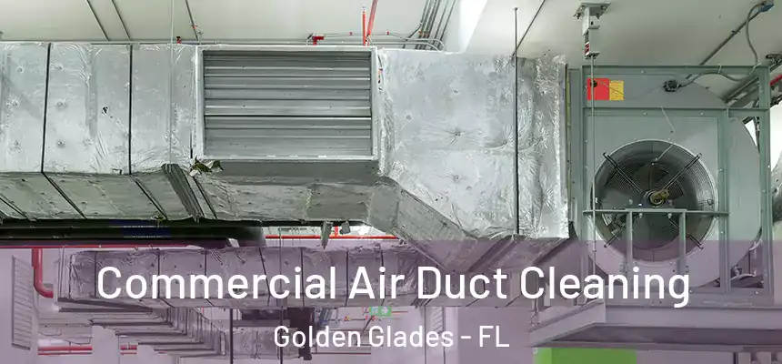 Commercial Air Duct Cleaning Golden Glades - FL