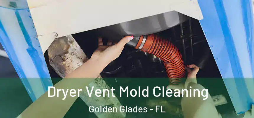 Dryer Vent Mold Cleaning Golden Glades - FL