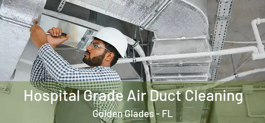 Hospital Grade Air Duct Cleaning Golden Glades - FL