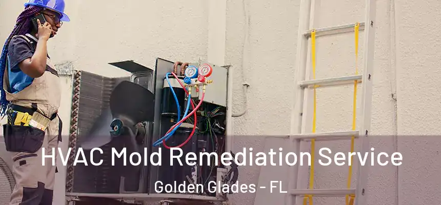 HVAC Mold Remediation Service Golden Glades - FL