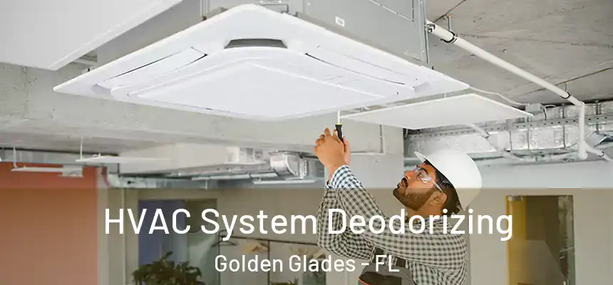 HVAC System Deodorizing Golden Glades - FL