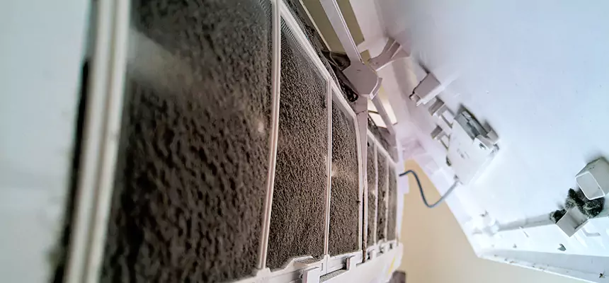 Preventive Air Duct Bacteria Removal in Golden Glades