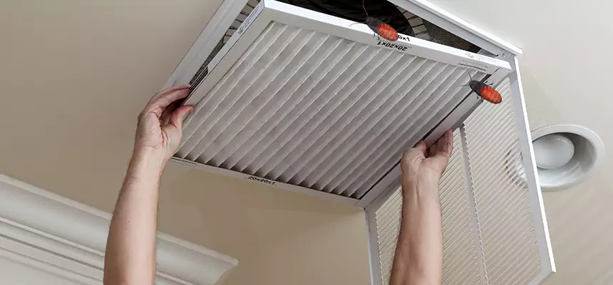 Preventive Cockroach-Proofing for Ducts in Golden Glades