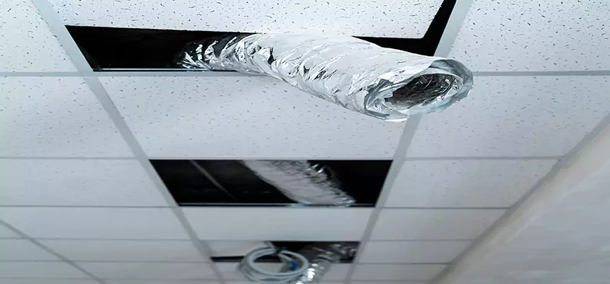 Affordable HVAC Sanitizing After Pest Removal in Golden Glades