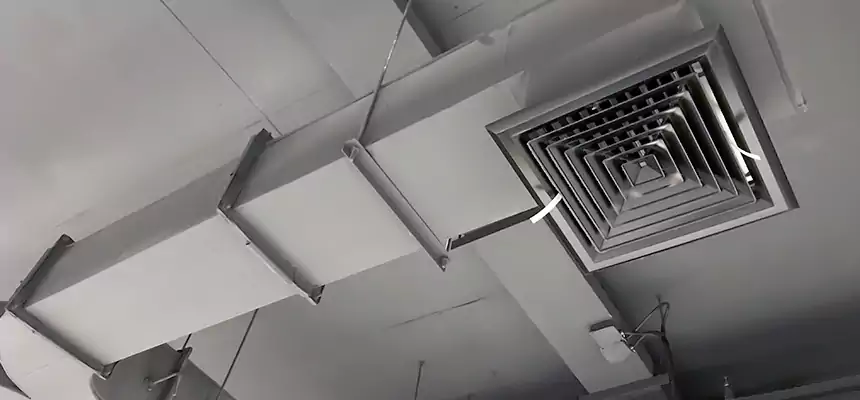 Restorative Allergy Relief Vent Cleaning – Coil, Blower & Housing Detail in Golden Glades