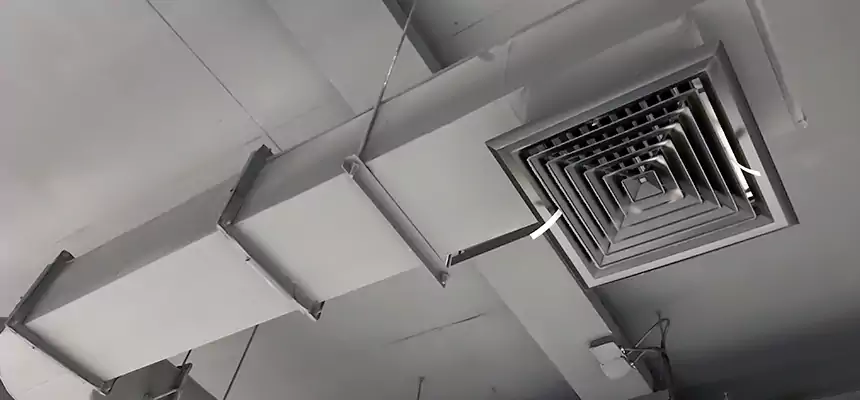 Our Pest Removal From Ducts Services in Golden Glades, FL