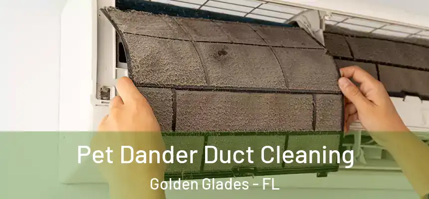 Pet Dander Duct Cleaning Golden Glades - FL