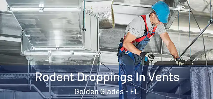 Rodent Droppings In Vents Golden Glades - FL