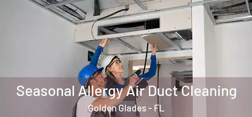 Seasonal Allergy Air Duct Cleaning Golden Glades - FL