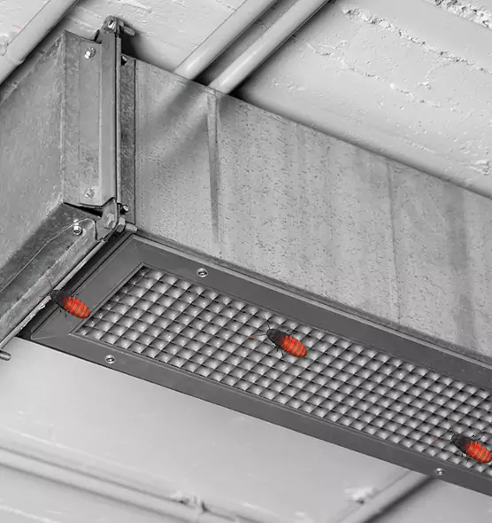 About Air Duct Cockroach Removal in Golden Glades, FL