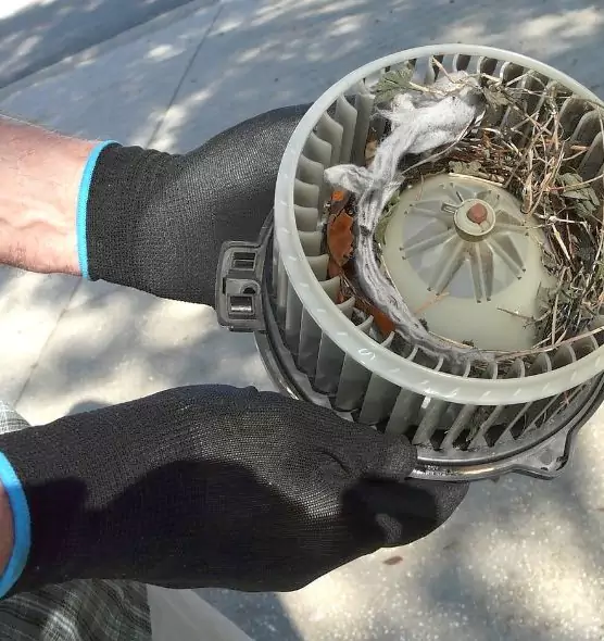 About Air Duct Mice Removal in Golden Glades, FL