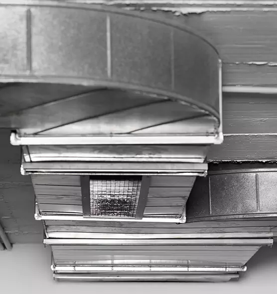 Professional Air Duct Pet Hair Removal in Golden Glades, FL