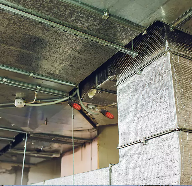 Why Homeowners & Businesses Trust Us in Golden Glades, FL?