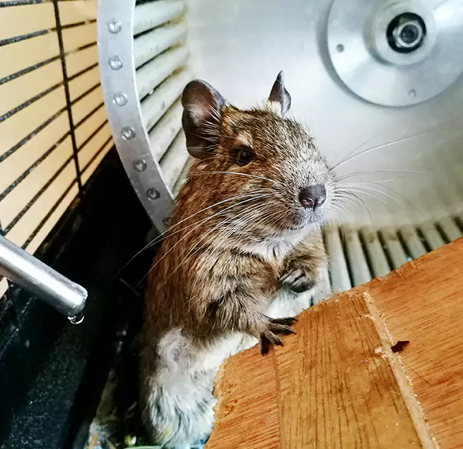 Why Homeowners & Businesses Trust Us Golden Glades, FL