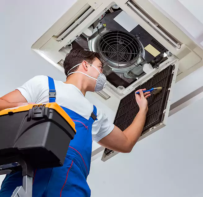 Why Homeowners & Businesses Trust Us in Golden Glades, FL